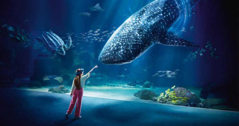 Découvrez le plus grand aquarium de France : une aventure sous-marine fascinante